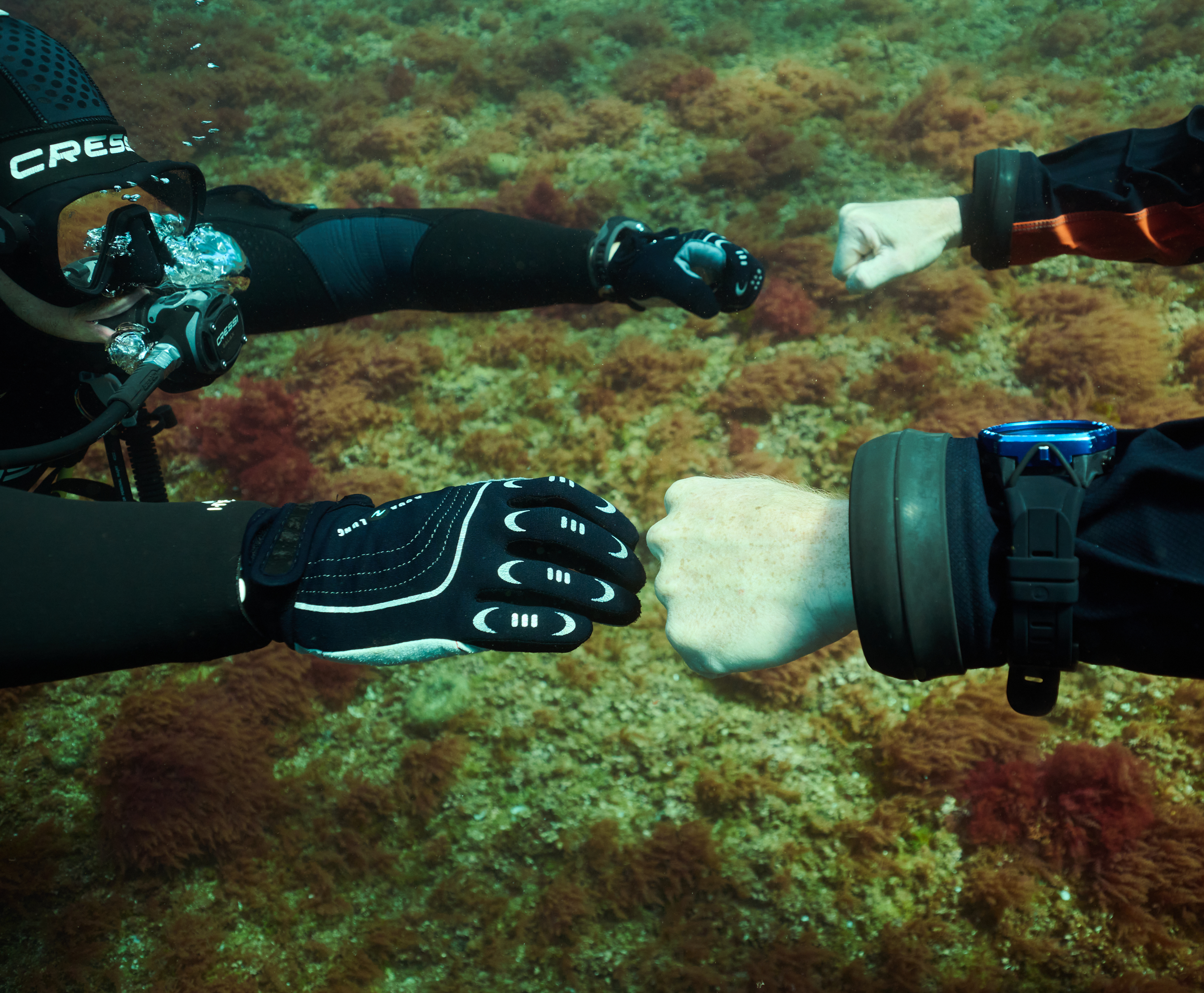 Formation Open Water Diver Express