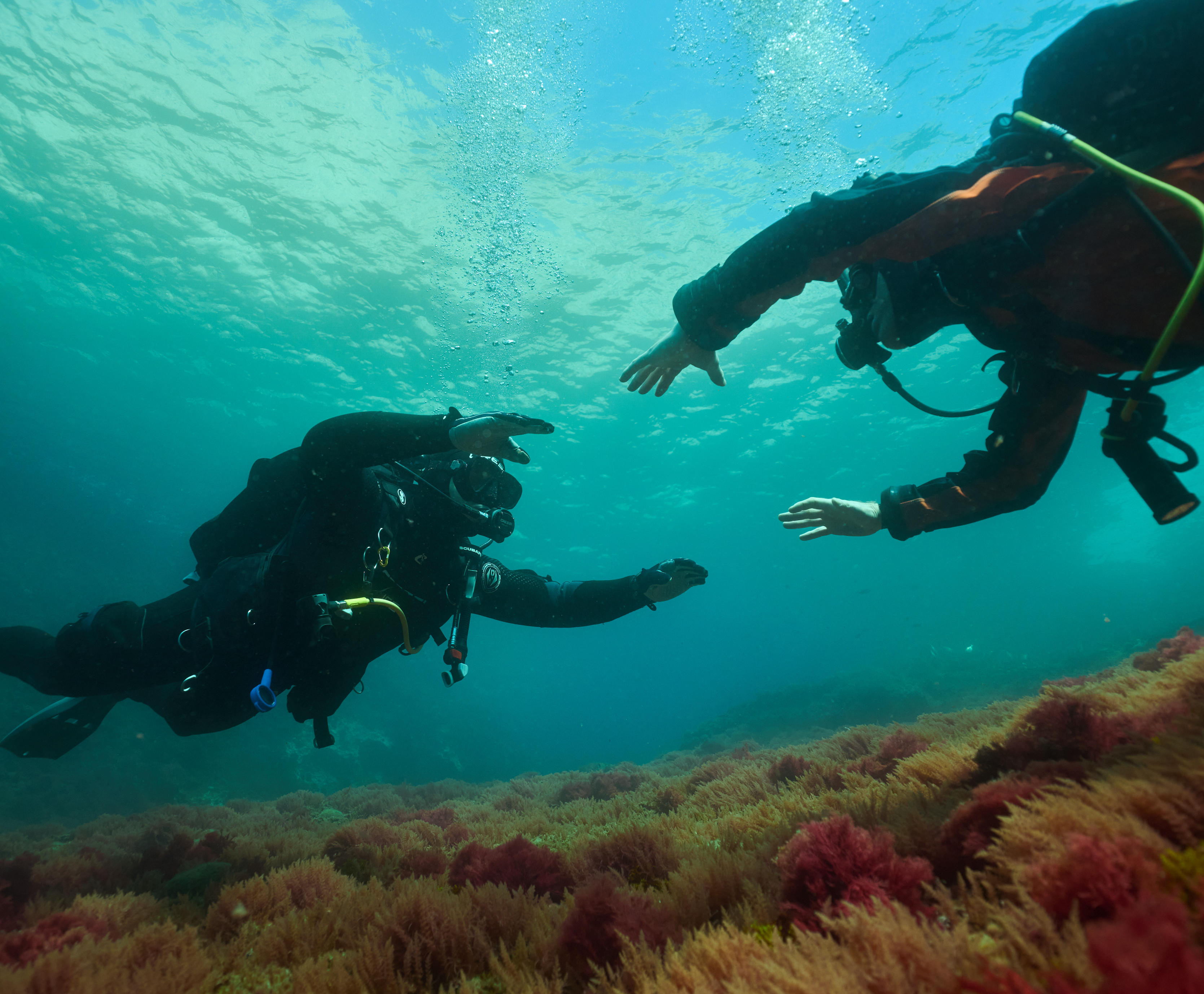 Formation Perfect Buoyancy SSI