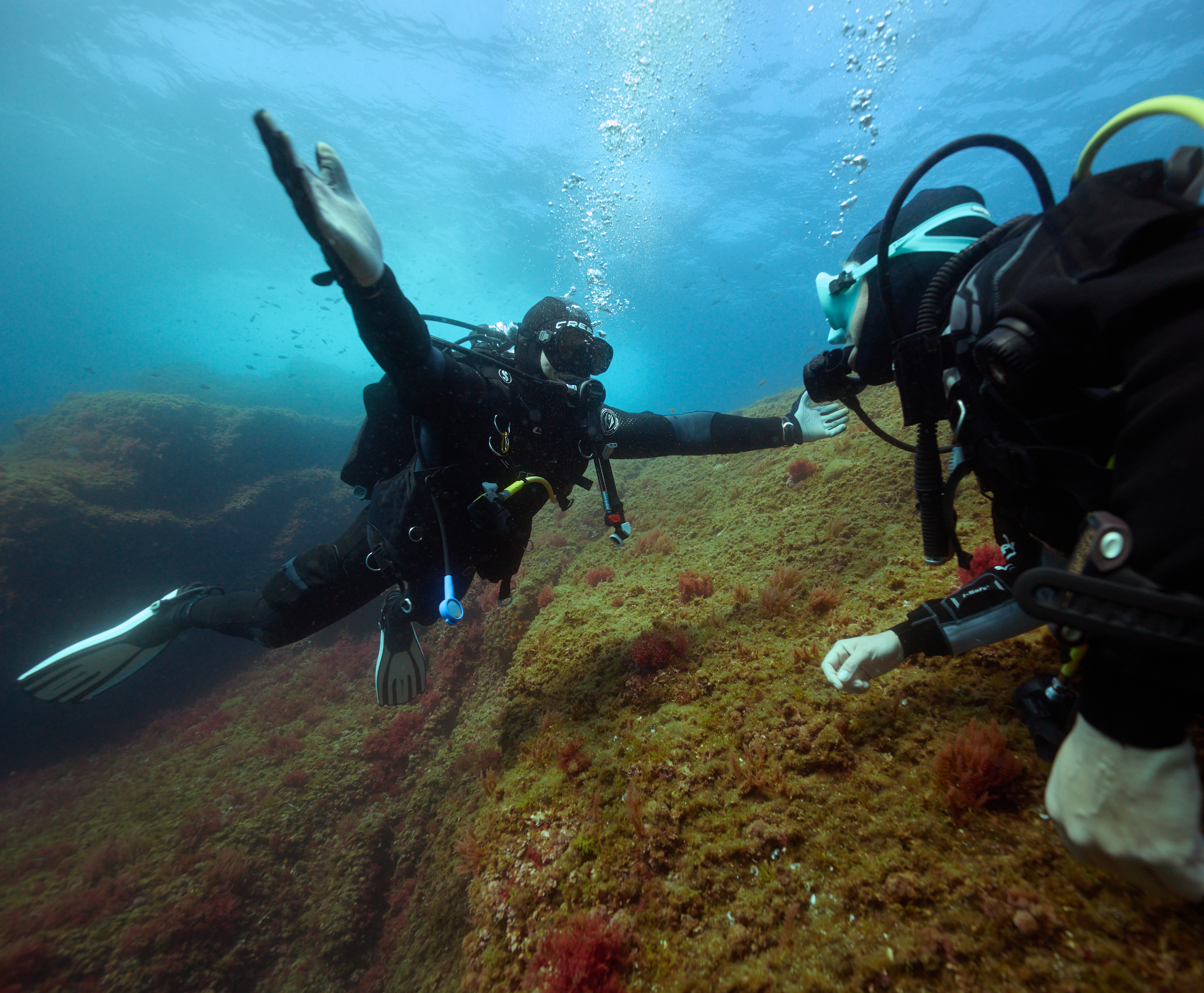 Formation Niveau 4 + DIVEMASTER