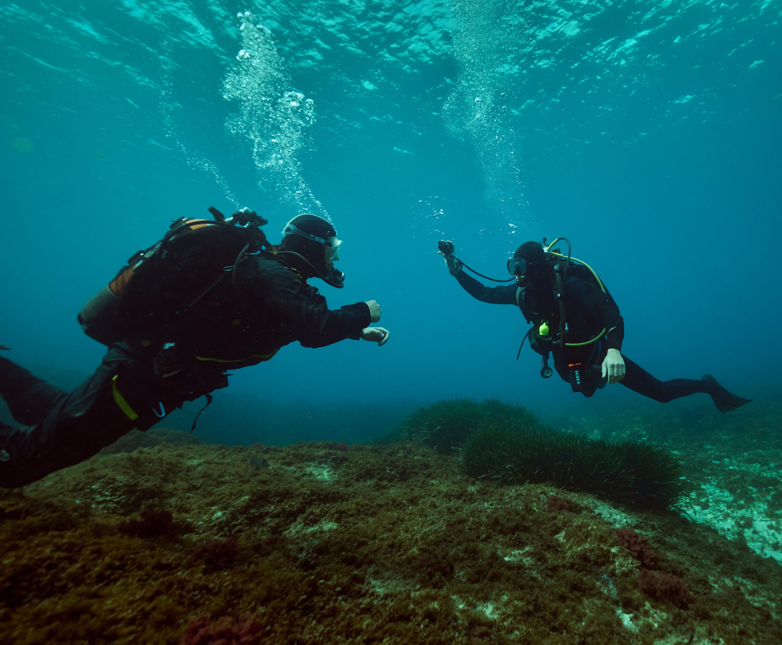 Formation Open Water Diver