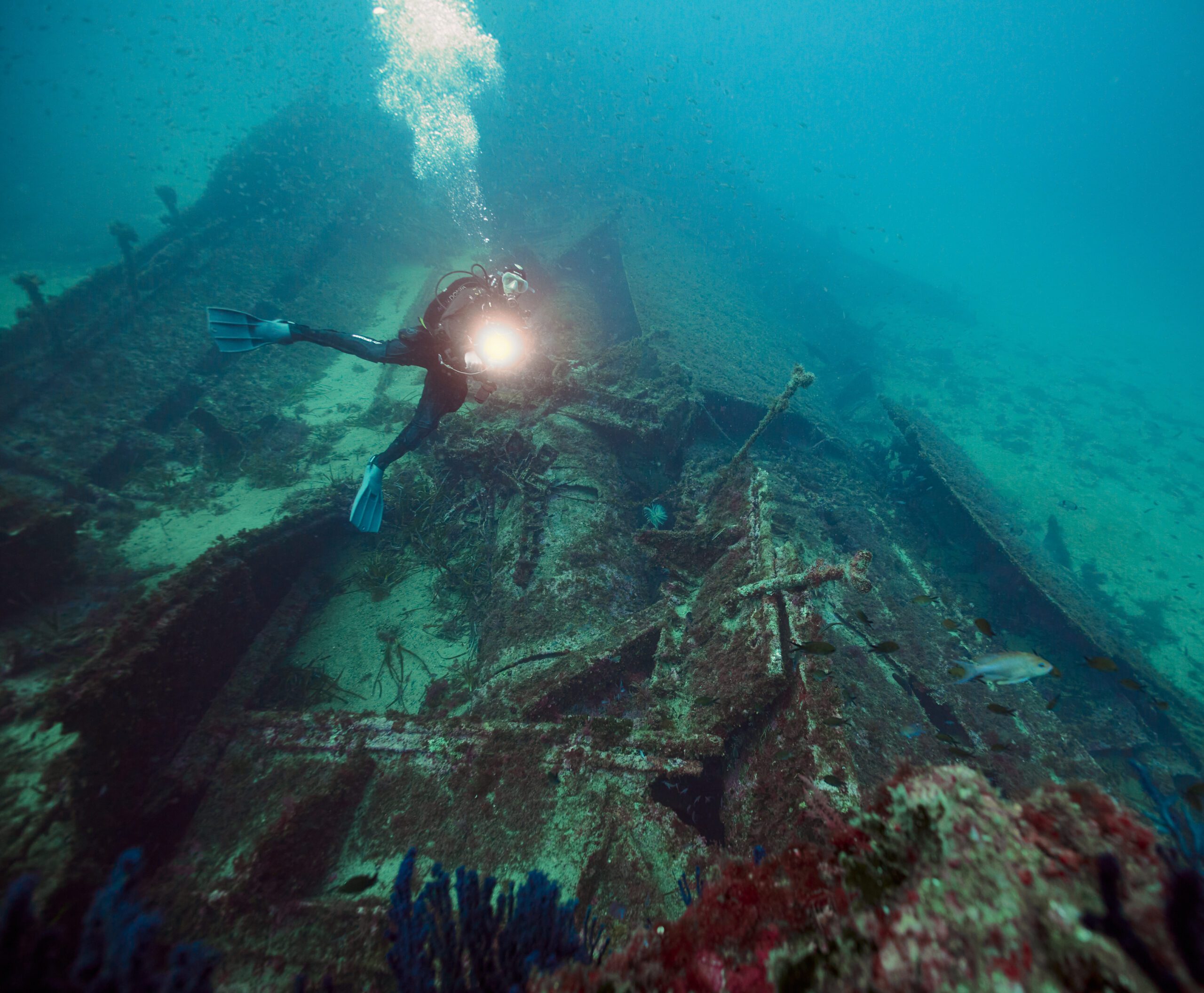 Formation Divemaster SSI