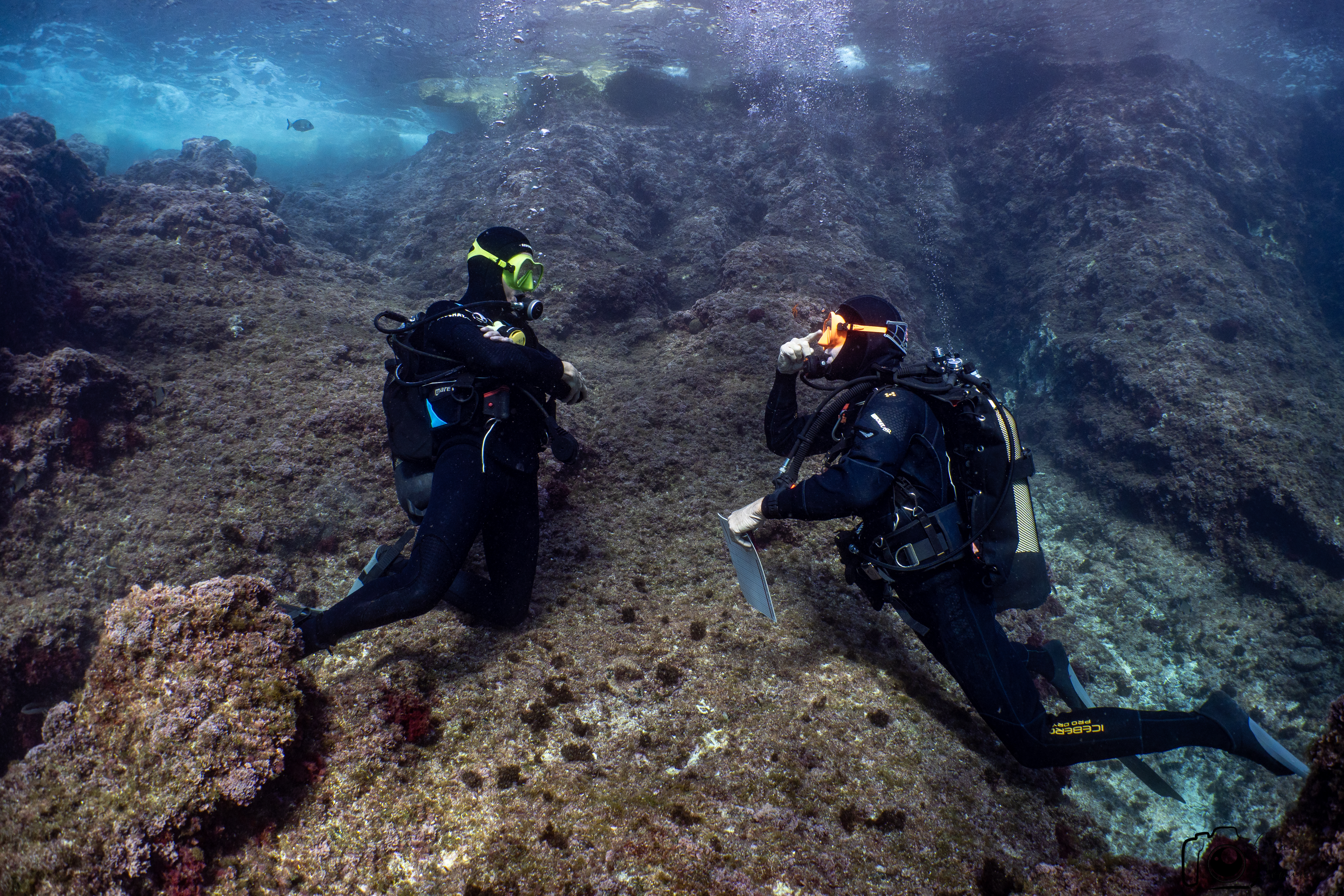 Préformation + Formation Assistant Instructor SSI