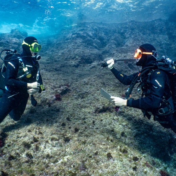 Formation Open Water Diver + Nitrox