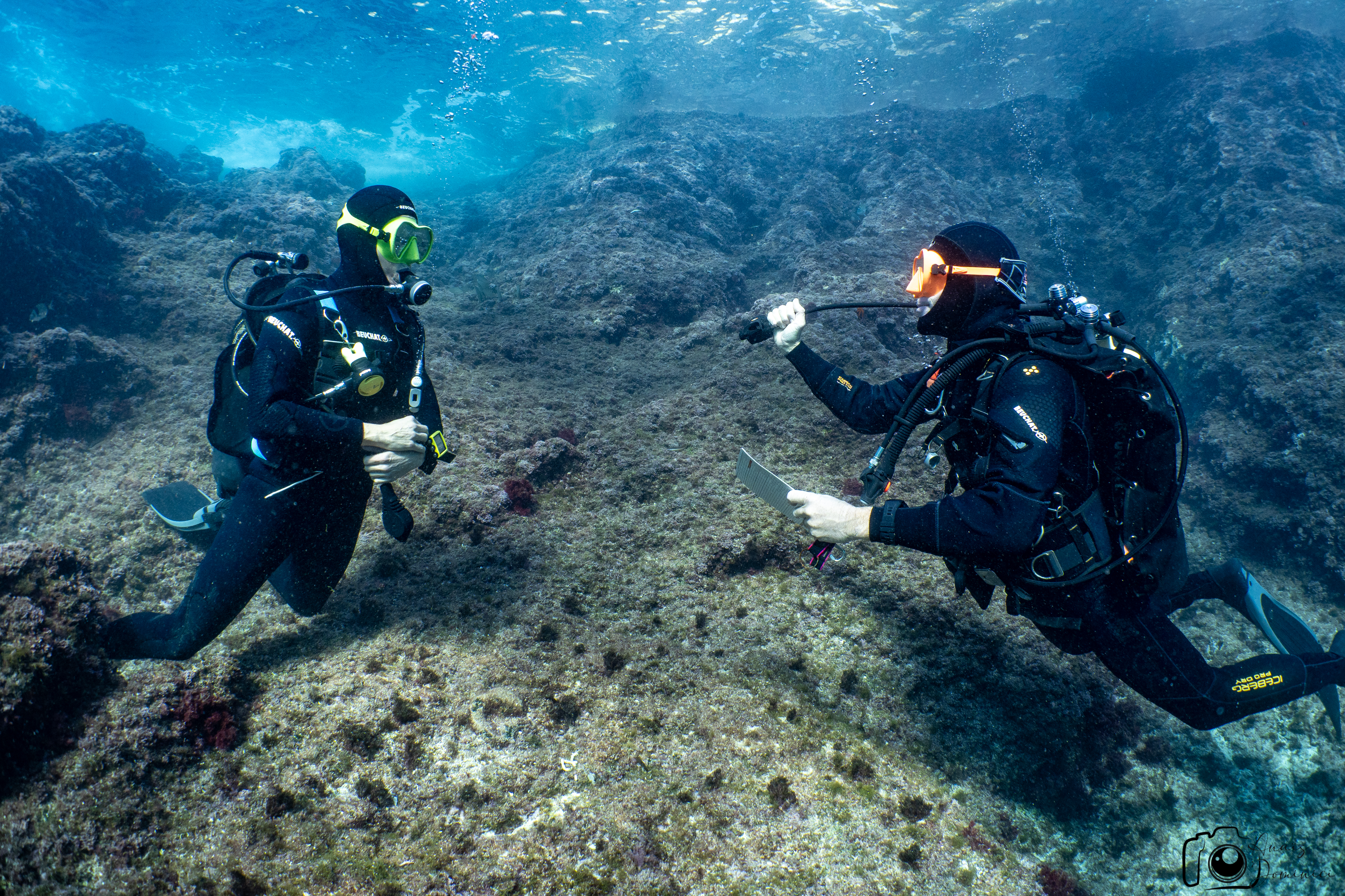 Formation Open Water Diver + Nitrox