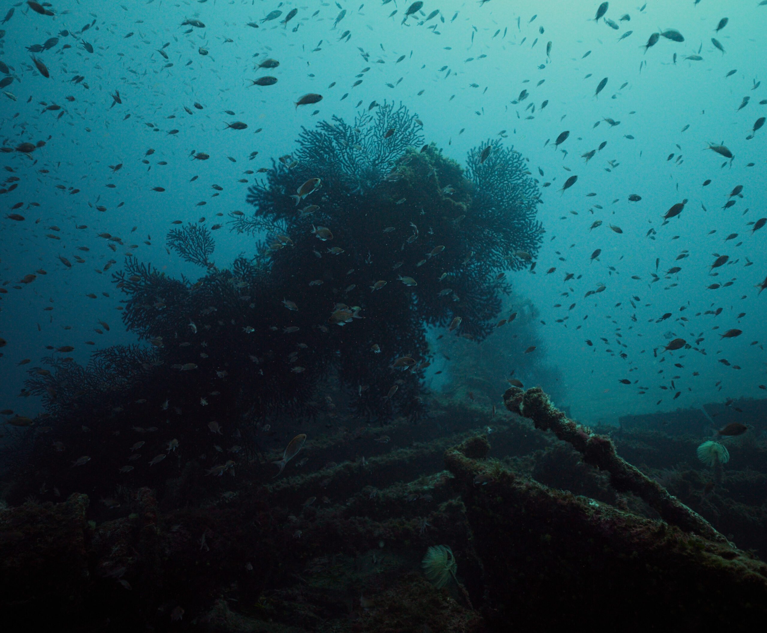 Formation Trimix TDI