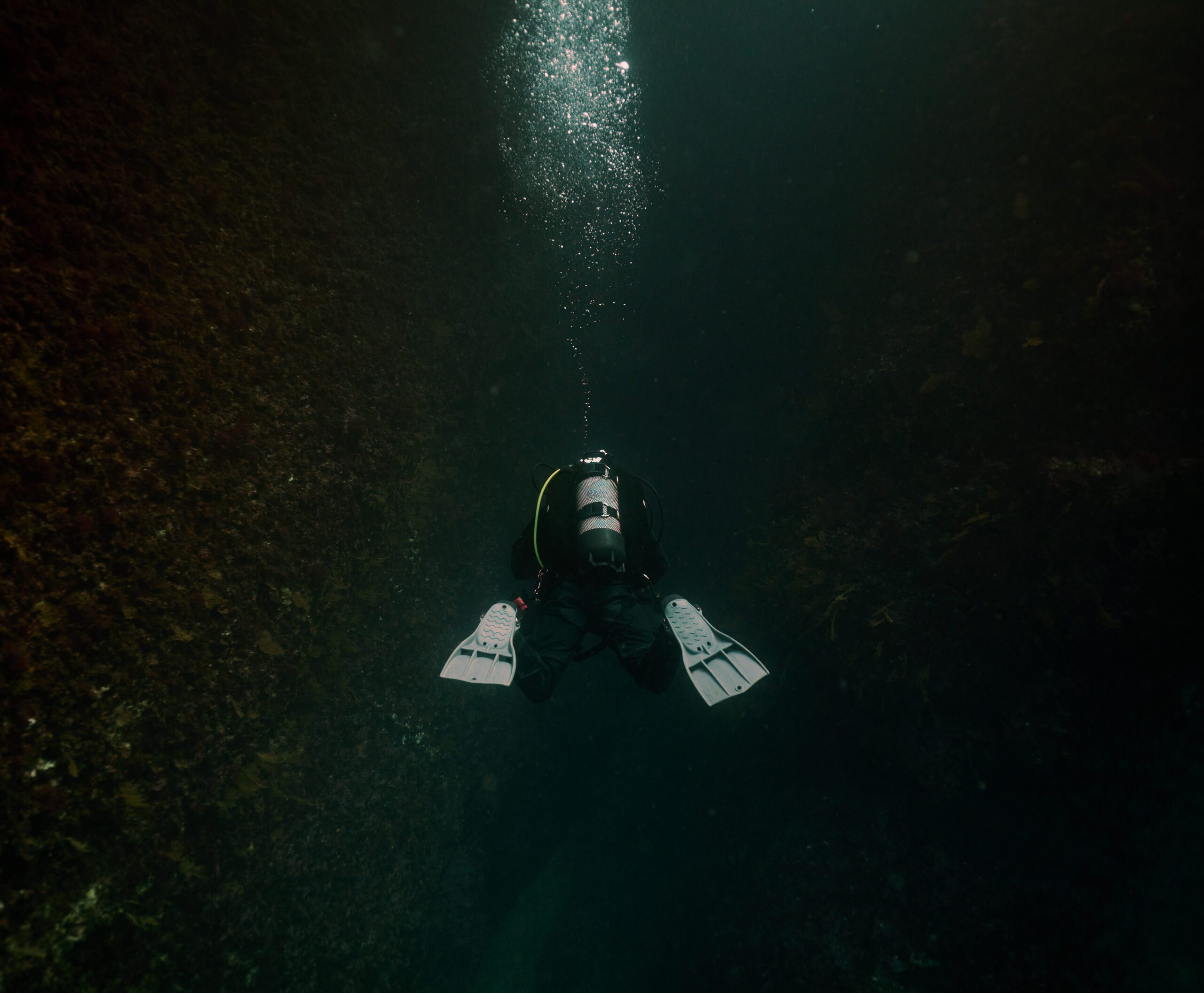 Formation Intro to Tek TDI