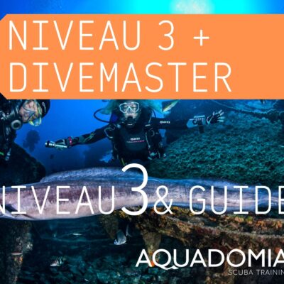 N3 & Divemaster